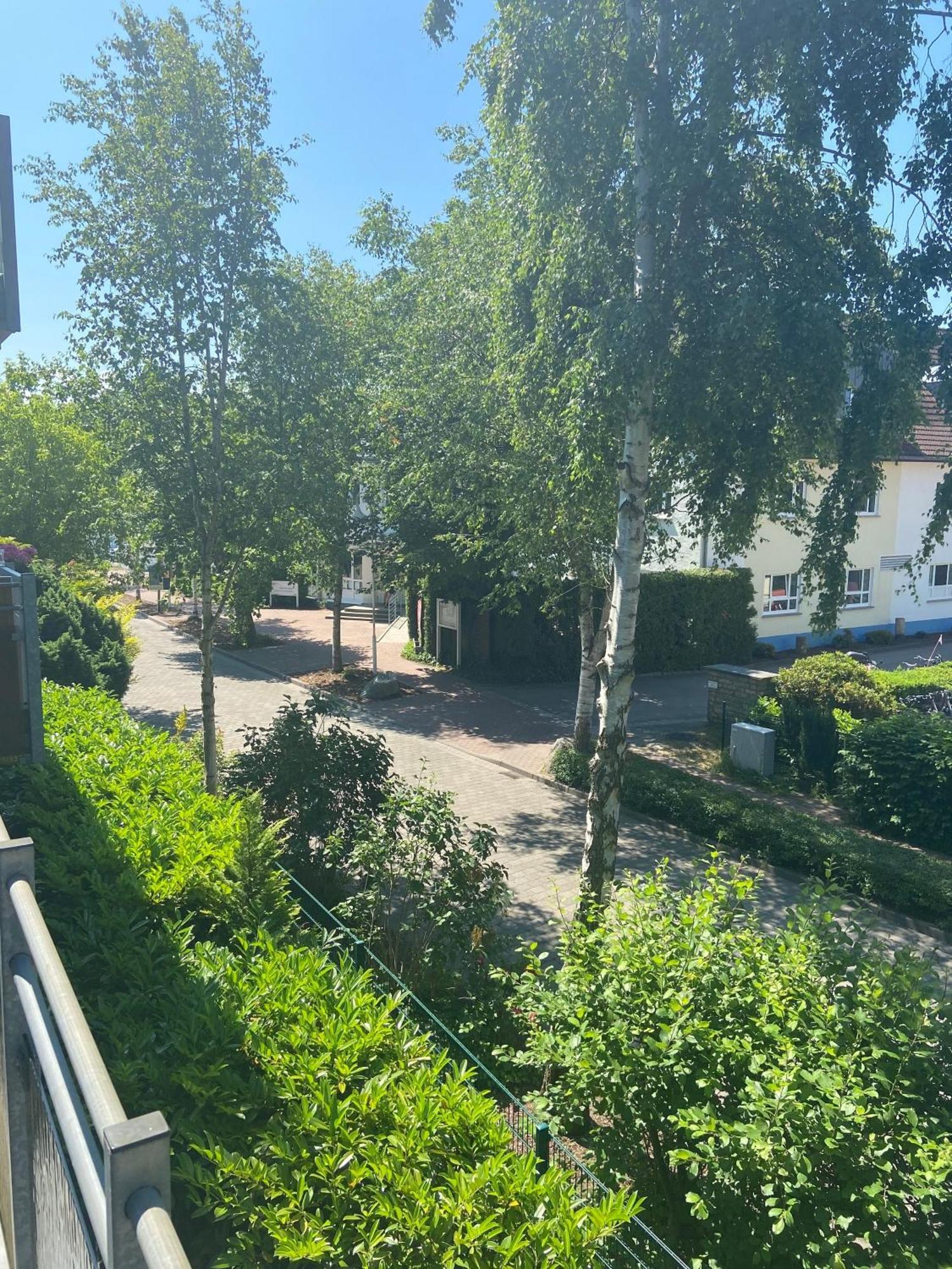 Meeresrauschen Zingst Esterno foto